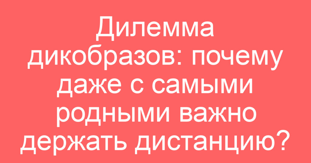 Дилемма дикобразов: почему даже с самыми родными важно держать дистанцию?