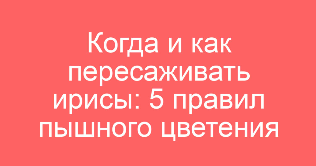 Когда и как пересаживать ирисы: 5 правил пышного цветения