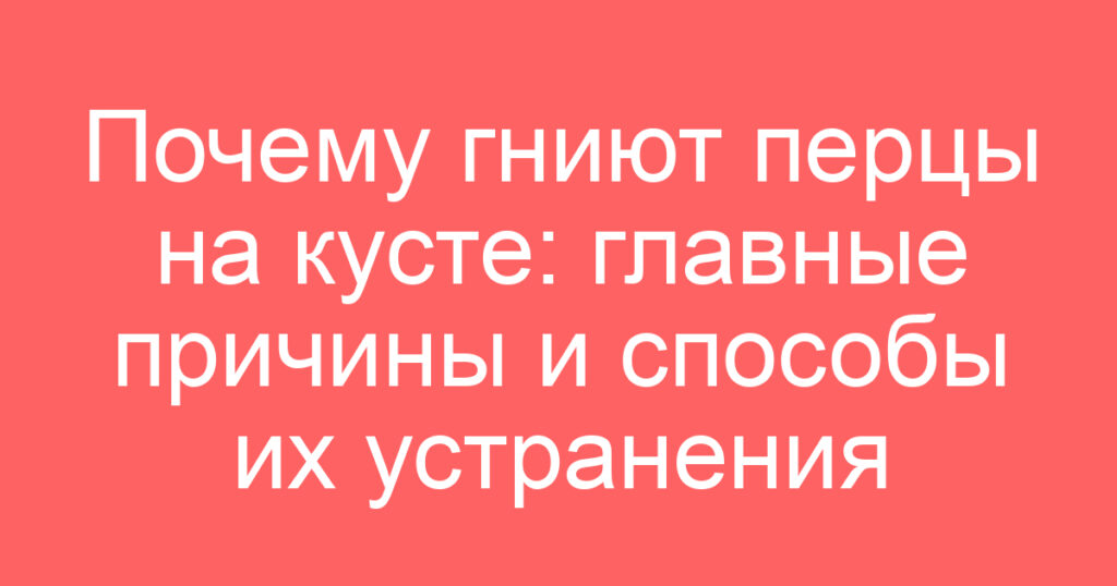 Почему гниют перцы на кусте: главные причины и способы их устранения